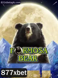 Explorando o Fascinante Mundo de FormosaBear